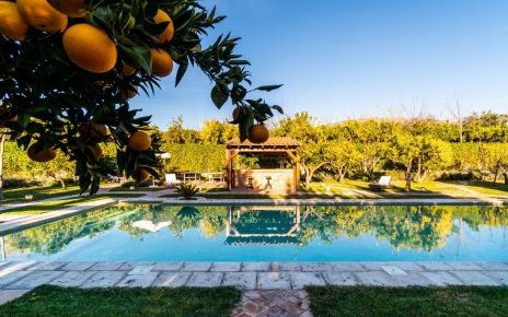 Estas en completa privacidad